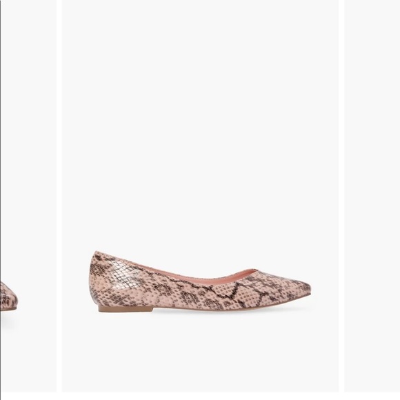 JustFab Amanda pointed toe flat shoes - Picture 2 of 6